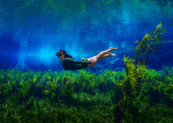 Rio Azul Bodoquena - Imagem 5
